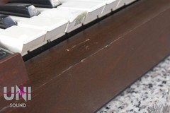 Moog Minimoog model D Original in Good conditions