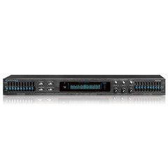 TPro Professional Dual 10 Band Equalizer with Individual LED Indicators