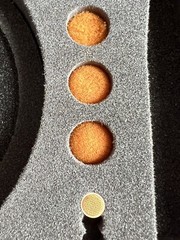 DPA 4066-FLC Microphone CASE w/accessories ONLY!