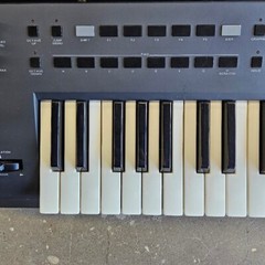 Roland DJ-70 Vintage 90’s Sampling Workstation/Keyboard 117V 24W Made In Italy