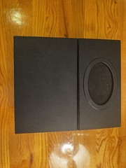 PAIA Oz (Rare) Serviced Refurbished with Brand New Speaker