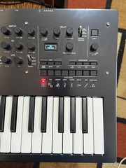 Korg Minilogue PG Limited Edition 4-Voice Polyphonic Analog Synthesizer