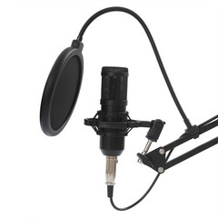 F998 Max Sound Card+BM800 Condenser Microphone Pro Audio Mixer Podcast Equipment