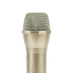 Fake Microphone For Singing Plastic Prop Mic Party Decoration Accessory Gold