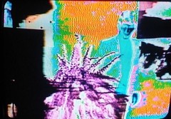 Circuit Bent (XpCD) Xpanded Colorizer Deformation Lo Fi Video Synth w/ Cables