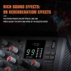 Professional 10-Channel Mixer with USB & XLR Inputs#
