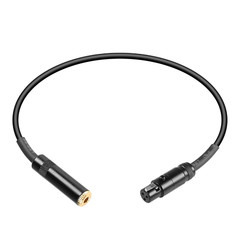 Mini XLR to 1/8 TRS Audio Converter Adapter Cable – 1FT 3.5Mm to Mini XLR 3 Pin
