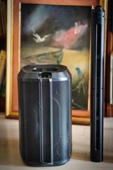 Bose L1 Pro8 Portable Line Array System with Bluetooth and Case