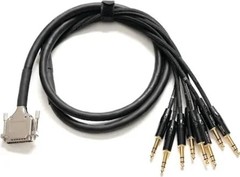 Premier 10 ft. DB25-TRS Cable