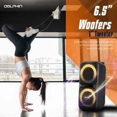 Dolphin Dual 8″ Portable High Power Karaoke Bluetooth Party Speaker Rechargeable