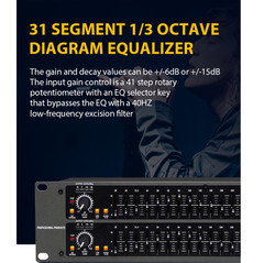 QST Graphic Equalizer 31-Band Stereo EQ for Home Audio Dual Channel Professional