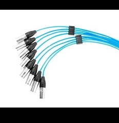 Elite Core PS8030 30′ 8-Channel Stage Box Snake with no Returns