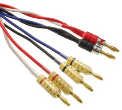 2ft 12AWG 2 Banana Plugs to 4 Banana Plugs Preminum Bi-Wire Speaker Cable