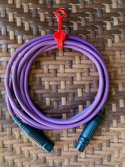 Gotham GAC-2AES Digital Audio Cable 1 meter ( 3.28 Ft.)