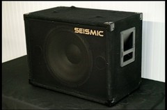 Seismic Audio NEW 1×15 BASS GUITAR SPEAKER CAB ~ 300W 115 Cabinet 15″