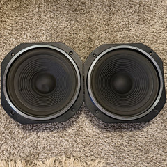Vintage Pair 10″ Woofer Speaker Drivers Universal Compatible MPN FS-1062A