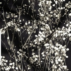 Sound Absorbing Wall Panel – White and Black Flowering Branches