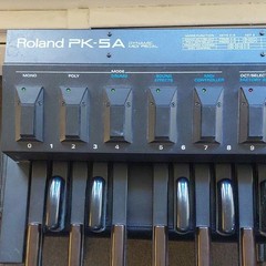 Roland PK-5A Dynamic MIDI Pedal Controller PK-5A Model MIDI Foot Pedal