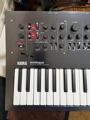 Korg Minilogue PG Limited Edition 4-Voice Polyphonic Analog Synthesizer