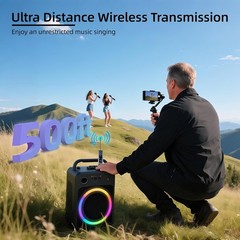 2PCS Wireless Professional Microphone Handheld Mic System Karaoke w/Receiver
