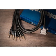Warm Audio Premier DB25-TRSm Snake Cable – 10 ft. Black