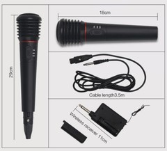 Professional Wireless Dual Microphone With Cordless Receiver for Church/ Karaoke