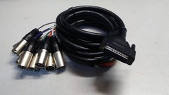 25 pin DSUB male to 8 channel XLR male, 10ft snake cable