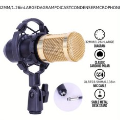 5 Core RM 8 BG Wired Professional Condenser Microphone Kit with Mixer