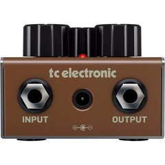 TC Electronic Echobrain Analog Delay