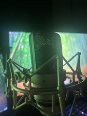 Neumann XLR Professional Dynamic Microphone – TLM 103 MT