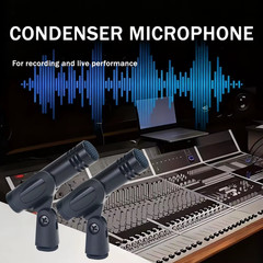 E614 Pro Drum Condenser Microphone with Windscreen & Clamp Mount