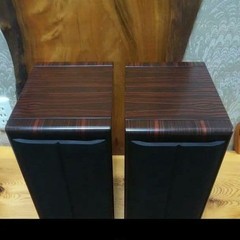Vienna Acoustics Bookshelf Speakers Pair Wood Grain Brown