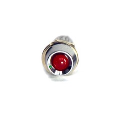 100pc 24V φ5mm LED Indicate Pilot Lamp Color = Red φ10x29mm #8015 Brass Case