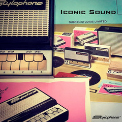 Stylophone the Original Pocket Electronic Synthesizer | Synth Musical Instrument
