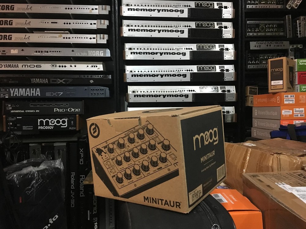 MOOG MINITAUR ANALOG BASS SYNTHESIZER SYNTH MODULE NEW //ARMENS//