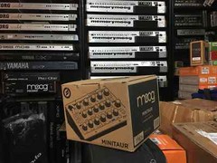 MOOG MINITAUR ANALOG BASS SYNTHESIZER SYNTH MODULE NEW //ARMENS//