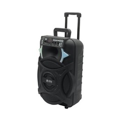EMB PKL12BT 1000w 12″ Trolley Speaker with AUX, Lights, FM, USB with Bluetooth