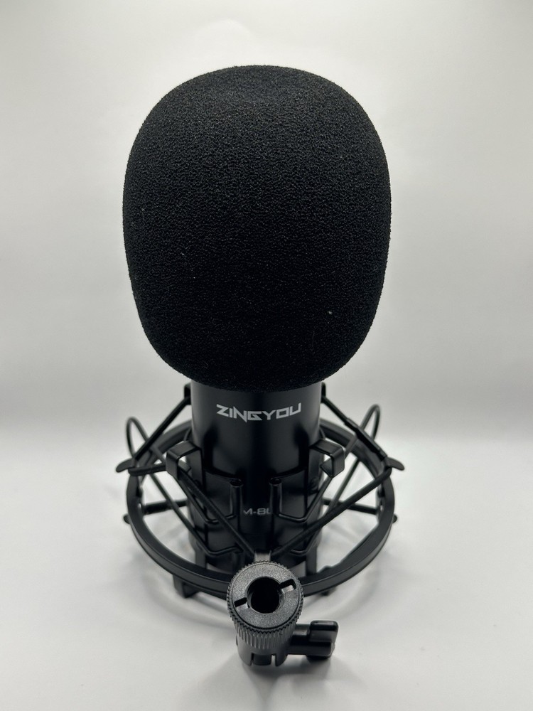 ZINGYOU BM-800 & Shock Mount