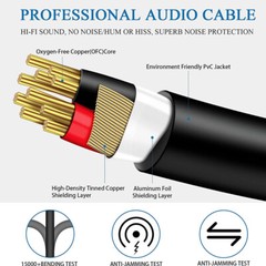 TRS 1/4 Male to Dual XLR Female Microphones Stereo Splitter Adapter Y Cable