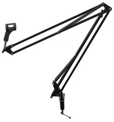 Se Electronics sE4100 Condenser Recording Microphone+Boom Arm+Headphones+Cable