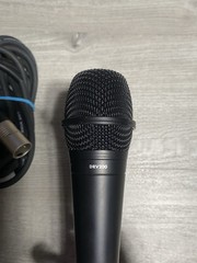 Digital Reference DRV200 Dynamic Lead Vocal Mic W/Cable