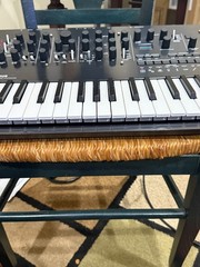 Korg Minilogue PG Limited Edition 4-Voice Polyphonic Analog Synthesizer
