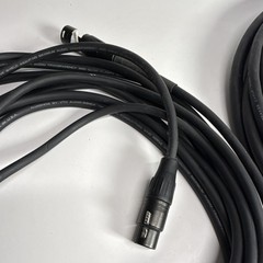 RapcoHorizon DB-1 Impedance Converter Ground Lift 1/4 In XLR Out w/ 14ga Cable