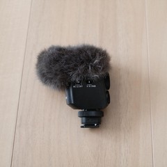 SONY ECM-M1 Camera Digital Shotgun Microphone Tested
