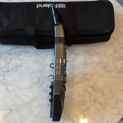 Roland Aerophone GO AE-05 Digital Wind Instrument w/ Case, Cables, Accessories