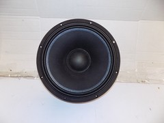 Original Thump 212 xt 12″ Replacement Speaker