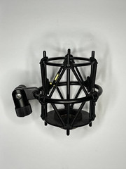 Royer R-101 Passive Ribbon Microphone w/ Shock Mount, Case & Bag — Excellent
