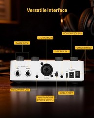 AVE-100 Vocal Effects Processor with Auto Pitch Correction/Harmony/Echo/Rever…