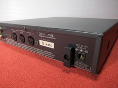Roland P-55 Sound Canvas Piano Module Tested Made in Japan w/ power supply