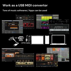 Paint Audio MIDI Captain Foot Controller and Wireless Adapter-MIDI Mate…